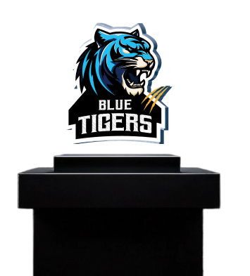 BLUE TIGERS - Connected Brand Platform Preview